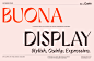 Display font letters text type type design Typeface typography   cool italian