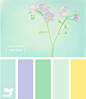 Spring、LOMO 颜色、平铺、色卡、配色、design-seeds