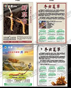 冬虫夏草DM单 【酷图网】冬虫,夏草,DM单,本草,草药,宣传,海报,知识,养生,植物