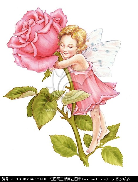 玫瑰仙子小精灵