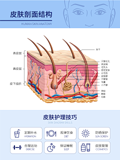 甜發發采集到单子