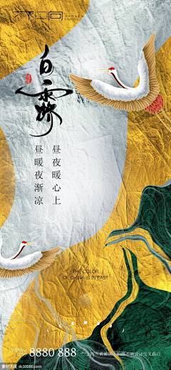 过期白菜致幻录采集到杰视帮