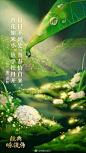 央视《经典咏流传》海报设计，太棒了！ ​​​ ​​​​