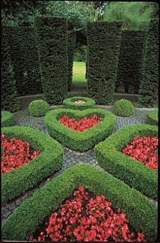 偶尔迷路的小河蟹采集到设计 | 绿篱