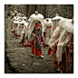 Pilgrims on the Kumano Kodo pilgrimage route to Nachi Taisha shrine and Nachi-no-taki falls by Tennoji Kun, via Flickr: 