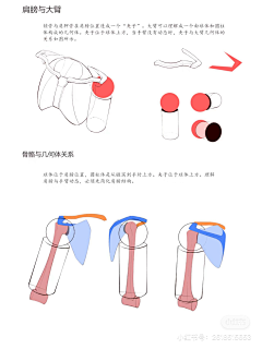 赵秃秃找兔兔采集到绘画