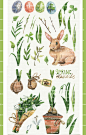 国外水彩春天植物花草动物城小兔狐狸蘑菇eps+ai格式矢量素材
