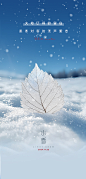 小雪节气海报【源文件淘宝搜：设计云助理】