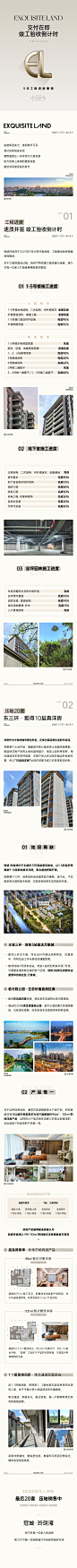 20240511-工程进度拉页5