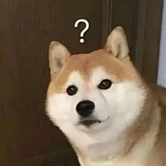 表情包
