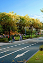 [浙江]“陶然沁芳”为主题的道路绿化景观规划设计方案-景观效果图