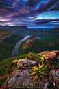 Photograph Canyon Aloes by Mark Dumbleton on 500px