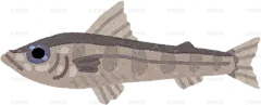 蓝点蝎子鱼手绘卡通插画手绘png儿童插画免扣素材