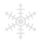 Snowflake  3D Icon