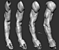 Study | Arm, ToTo Dost : Follow me : https://www.instagram.com/totodost/ 
: https://www.facebook.com/Totodostart