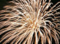 #fireworks - Epic Fireworks :)