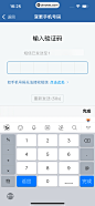 UI  - 交管12123 App  (75)