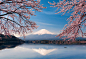 富士山 by 孙权 on 500px