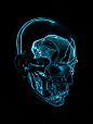 Artificial Anatomy 2 : Artificial Anatomy is an ongoing personal project intended to explore our understanding and perception of surface, texture and volume. Part 2 uses flashing electroluminescent wire to illuminate sections of a human head and skull. Th