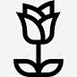蔷薇花和植物线形图标高清素材 标识 设计图片 页面网页 平面电商 创意素材 png素材