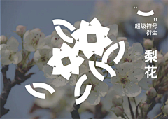 大丑驴采集到小红书 标题