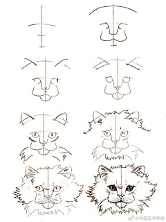 琉の璃采集到画猫