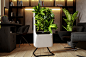 This sustainable air purifier naturally cleanses your air with oxygen-boosting plants | Yanko Design