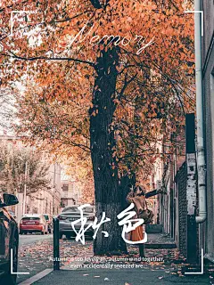 秋天风景晒照plog