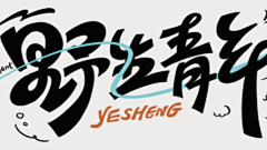 与嫣相伴采集到字体