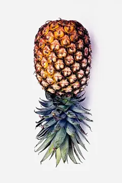 水彩菠萝免抠素材_新图网 https://ixintu.com 创意水果 卡通菠萝 手绘菠萝 新鲜水果 菠萝免扣PNG 菠萝插画
