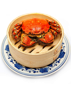潇洒与英俊采集到螃蟹