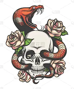 玫瑰,蛇,头骨,骷髅图,眼镜蛇,复古,绘制,花