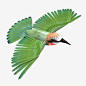 turcbocg-3d-models-bee-eater-3 (1)