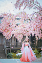#云裳羽衣上线# #云裳羽衣同人# 云裳羽衣 
马蹄过，几瓣樱花乍起
莺歌恰恰，便是江南

@云裳羽衣手游 
——万变华裳，只为悦己
...展开全文c