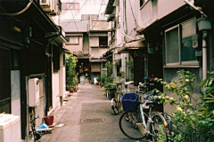 没有表情的鱼采集到摄影