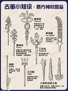 神杖、魔杖、法杖⁉️一图介绍西方常见手杖