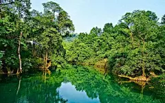 美丽的人间天堂 让联合国震惊的自然之地——荔波
荔波景观非常奇特，荔波有一个神秘的小七孔，树影古桥和绿水，山林湖瀑为一体。小七孔是以水、山、石为景观的一个非常漂亮的景区，在12公里的道路上有67级瀑布，瀑布可以从人的头上过，汽车可以从瀑布下走，也可以从瀑布上走。另外，还有一个非常吸引人的水上神地，人从水上走，灵从头上过，给人一个神秘的感觉。其中，水上森林是景区最著名的景观，水中有石，树植水中，远远望去宛如漂在水上，令人叹为观止。


