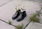 Brooke DiDonato：梦境 __.__________._ 现实 – Malt 麦芽