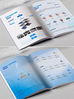 Cherie_M采集到VI —  Brochure