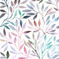 水彩花卉图案。树叶背景。贺卡