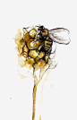 水彩蜜蜂png免抠素材_新图网 https://ixintu.com 蜜蜂 蜂蜜 蜂巢 蜂窝 插画 卡通 手绘