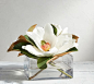 Faux Magnolias Composed Arrangement | Artificial Flowers | Pottery Barn