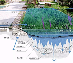 hanaiping采集到雨水花园