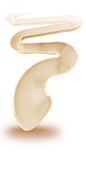 肠道