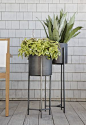 Dundee Floor Planters - I think would be great for the back patio.