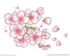手绘樱花插画