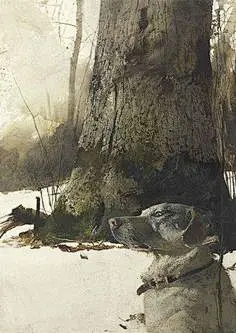 Andrew Wyeth, Rocky hill,  1977 Beaux Arts Paris, Rocky Hill, Newell