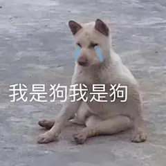 微信 QQ 搞笑 表情包 哈哈 (2366)