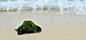 海滩石头背景图 页面网页 平面电商 创意素材