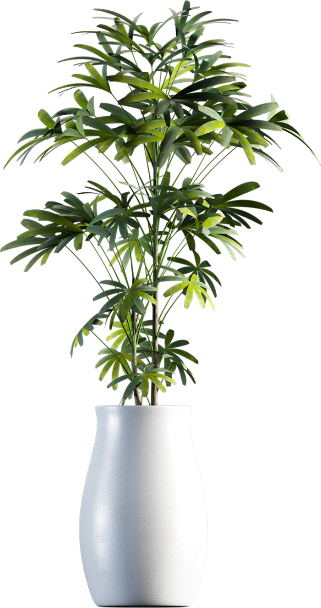 Plant 4 (2)